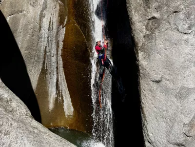 CanyonFleurJaune - 10.webp